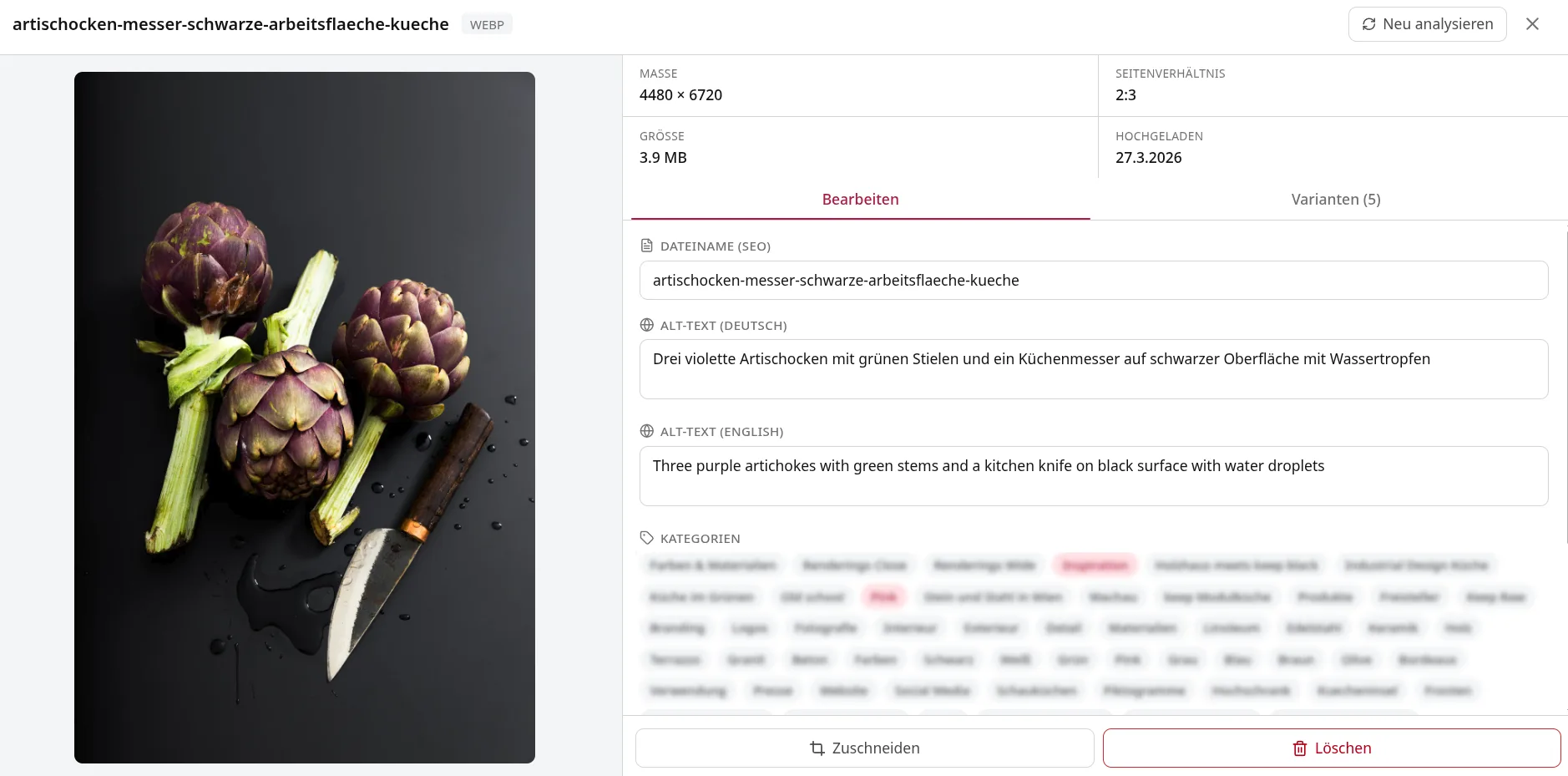 Mediendatenbank mit KI-Beschriftung in zwei Sprachen